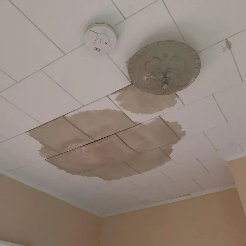 Ceiling Water Damage Repair in Apple Valley, OH