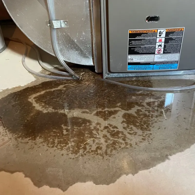 Pipe Burst and Leak Restoration in Apple Valley, OH