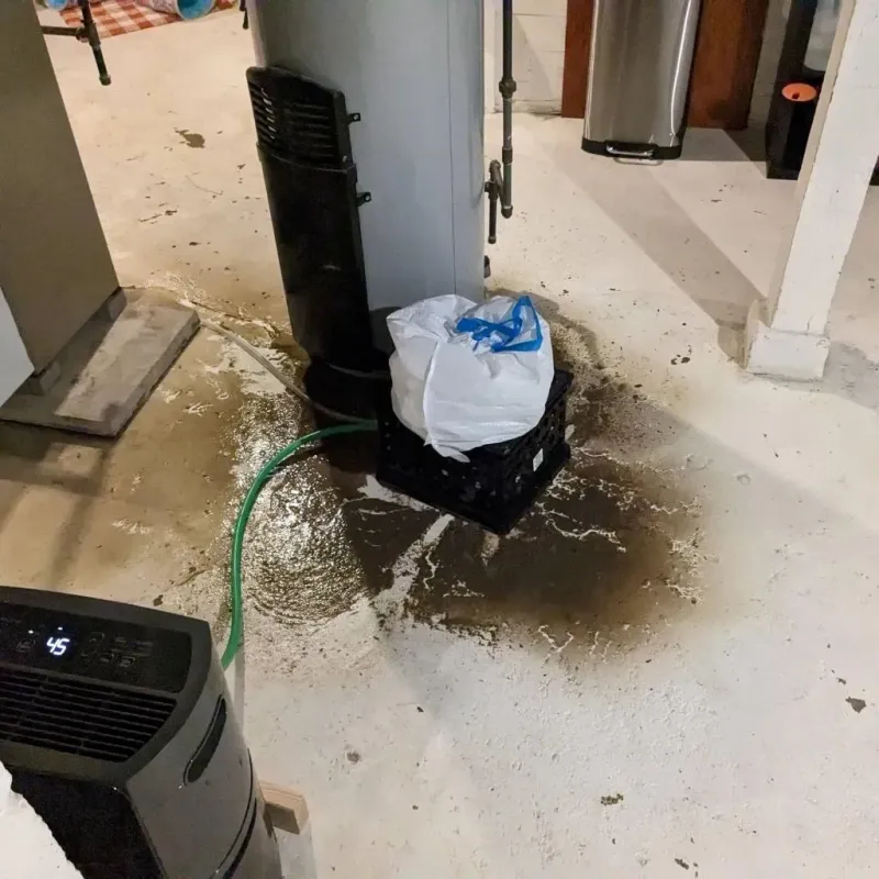 Sewage Backup Cleanup Service in Apple Valley, OH